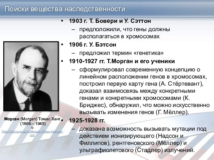 Поиски вещества наследственности 1903 г. Т. Бовери и У. Сэттон предположили, что гены