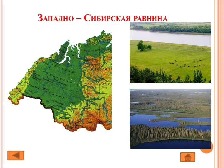 Западно – Сибирская равнина