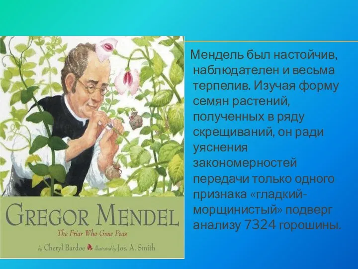 Мендель был настойчив, наблюдателен и весьма терпелив. Изучая форму семян