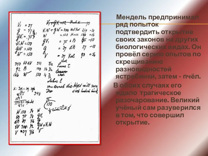 Мендель предпринимал ряд попыток подтвердить открытие своих законов на других