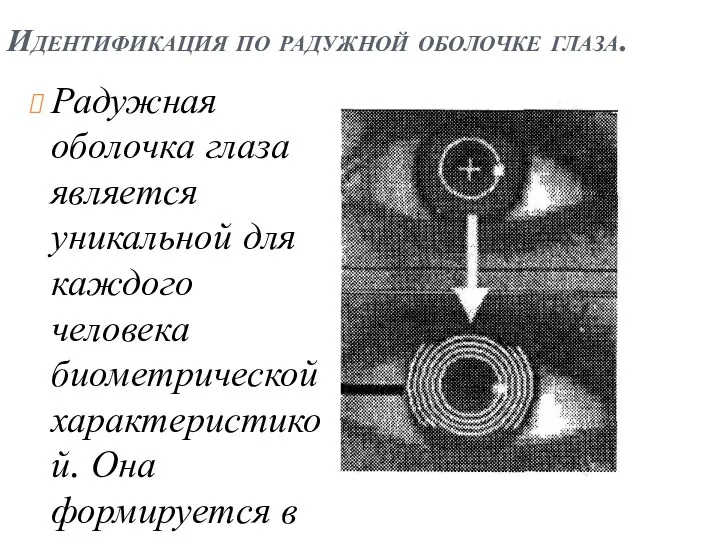 Идентификация по радужной оболочке глаза. Радужная оболочка глаза является уникальной для каждого человека