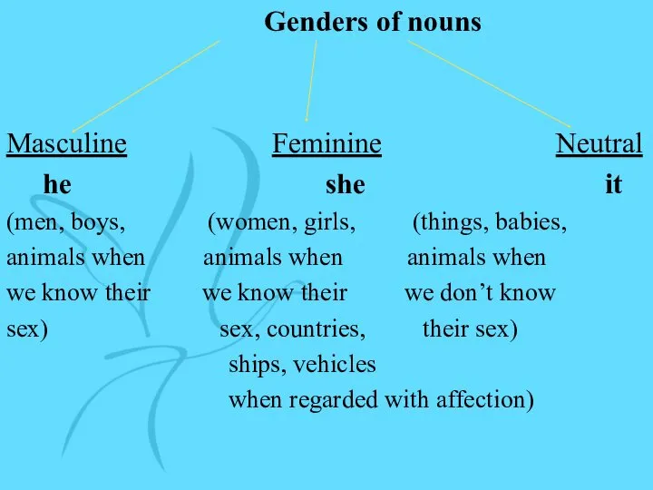 Genders of nouns Masculine Feminine Neutral he she it (men, boys, (women, girls,