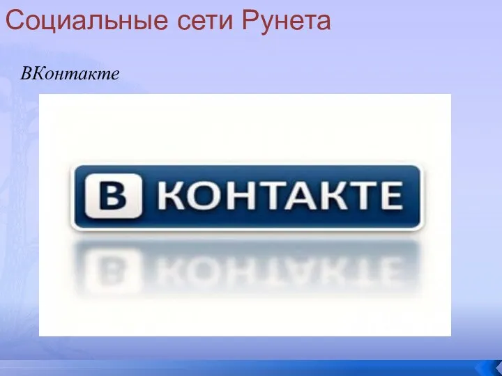 Социальные сети Рунета ВКонтакте