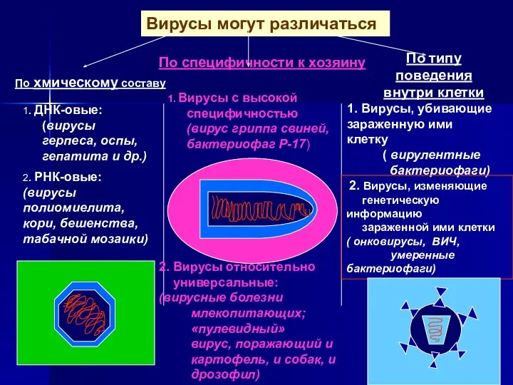 Вирусы могут различаться По специфичности к хозяину 1. Вирусы с