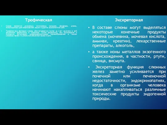 Слюна является основным источником кальция, фосфора, цинка, используемых для образования