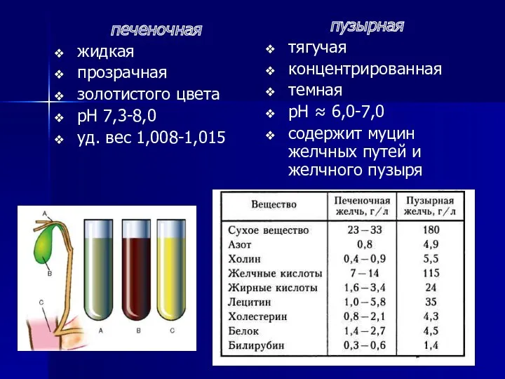 печеночная жидкая прозрачная золотистого цвета рН 7,3-8,0 уд. вес 1,008-1,015