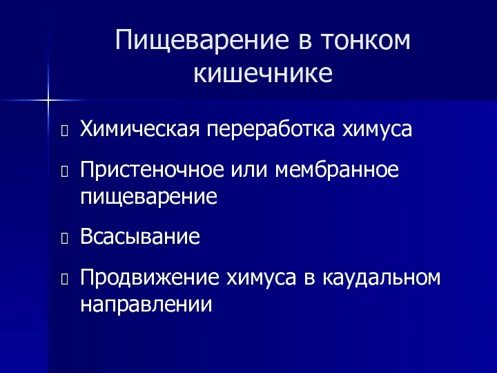 Пищеварение в тонком кишечнике Химическая переработка химуса Пристеночное или мембранное