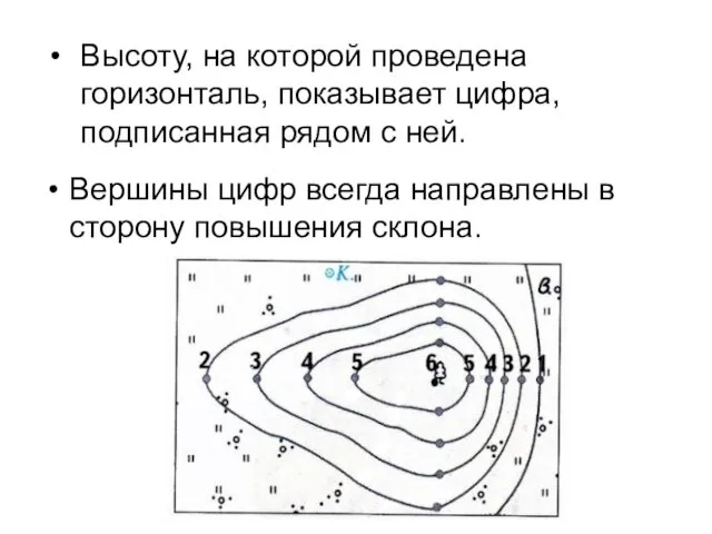 Высоту, на которой проведена горизонталь, показывает цифра, подписанная рядом с