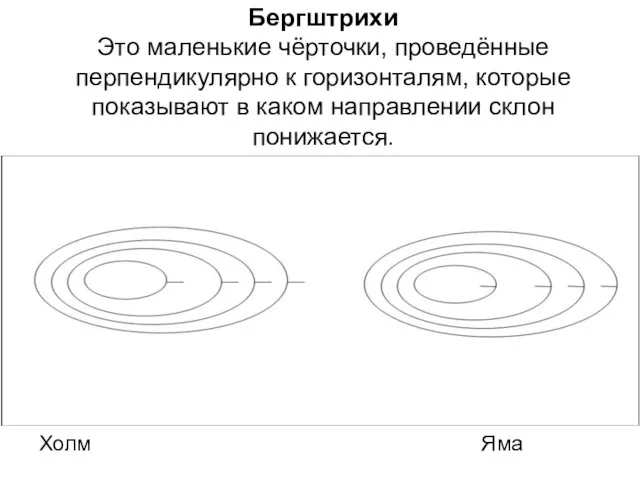 Бергштрихи Это маленькие чёрточки, проведённые перпендикулярно к горизонталям, которые показывают