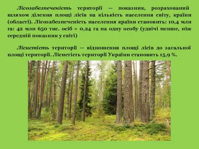 Лісозабезпеченість території — показник, розрахований шляхом ділення площі лісів на
