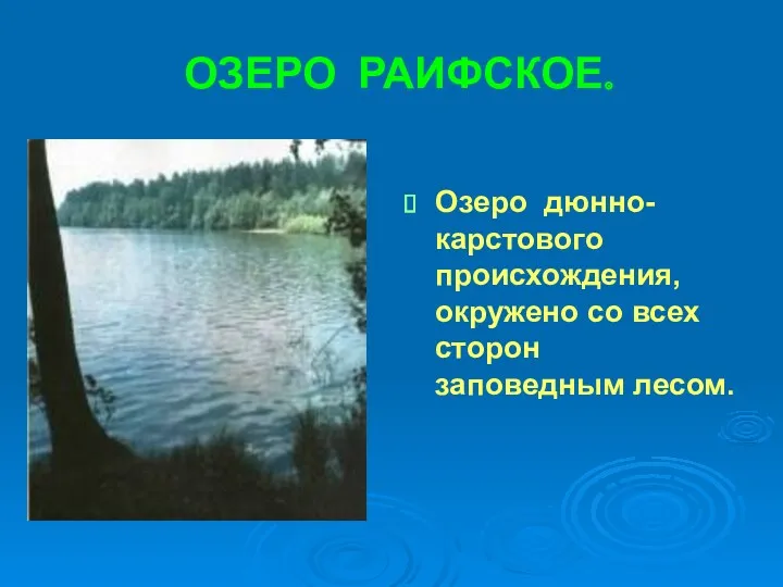 ОЗЕРО РАИФСКОЕ. Озеро дюнно-карстового происхождения, окружено со всех сторон заповедным лесом.