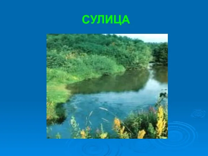 СУЛИЦА