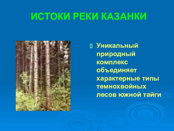 ИСТОКИ РЕКИ КАЗАНКИ Уникальный природный комплекс объединяет характерные типы темнохвойных лесов южной тайги