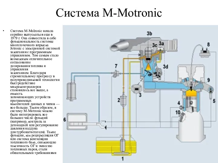 Система M-Motronic Система M-Molronic начала серийно выпускаться еще в 1979