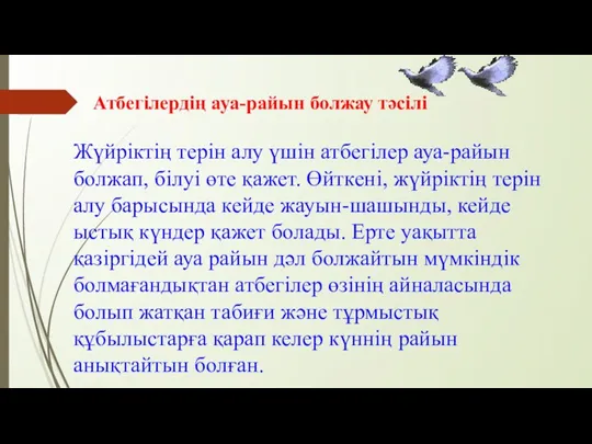 Атбегілердің ауа-райын болжау тәсілі Жүйріктің терін алу үшін атбегілер ауа-райын