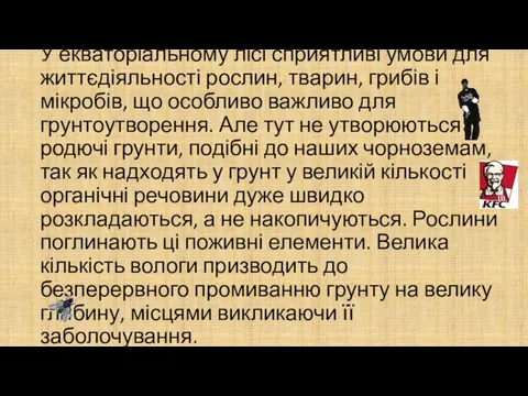 У екваторіальному лісі сприятливі умови для життєдіяльності рослин, тварин, грибів