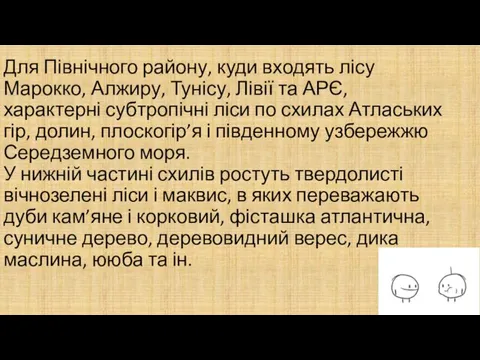 Для Північного району, куди входять лісу Марокко, Алжиру, Тунісу, Лівії