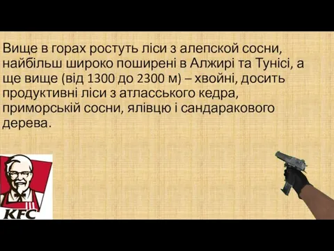 Вище в горах ростуть ліси з алепской сосни, найбільш широко