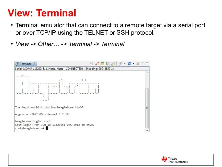 View: Terminal Terminal emulator that can connect to a remote