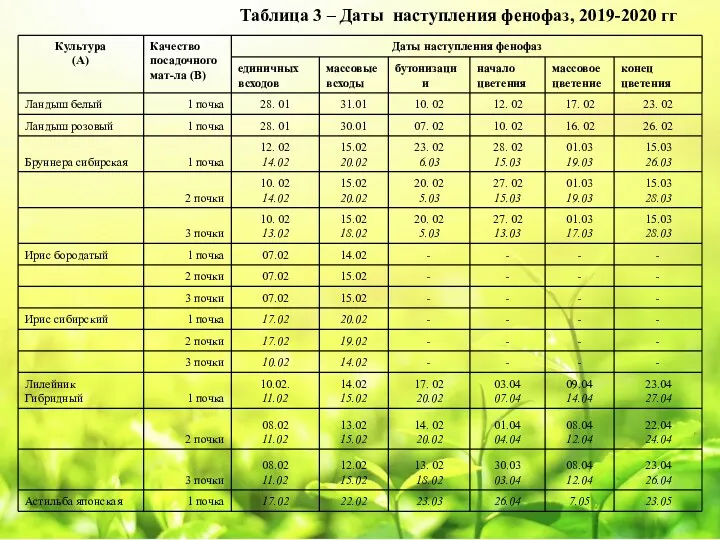 Таблица 3 – Даты наступления фенофаз, 2019-2020 гг