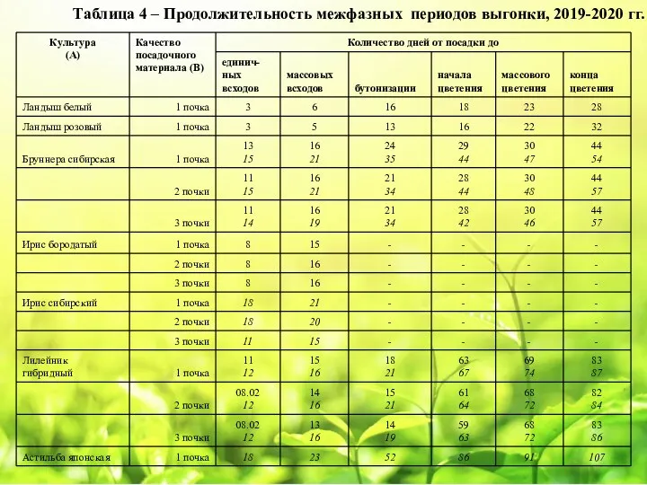 Таблица 4 – Продолжительность межфазных периодов выгонки, 2019-2020 гг.