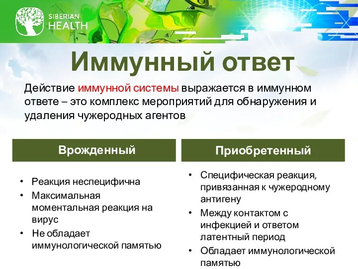 Иммунный ответ Врожденный Реакция неспецифична Максимальная моментальная реакция на вирус