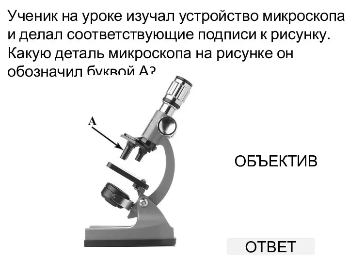 Ученик на уроке изучал устройство микроскопа и делал соответствующие подписи