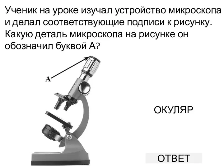 Ученик на уроке изучал устройство микроскопа и делал соответствующие подписи