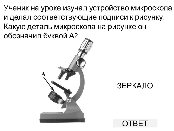 Ученик на уроке изучал устройство микроскопа и делал соответствующие подписи