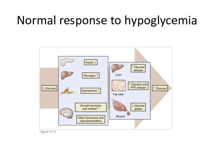 Normal response to hypoglycemia