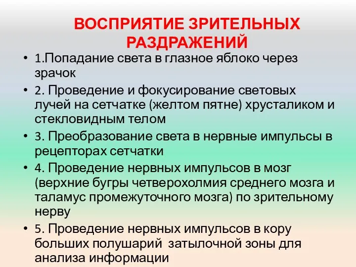 ВОСПРИЯТИЕ ЗРИТЕЛЬНЫХ РАЗДРАЖЕНИЙ 1.Попадание света в глазное яблоко через зрачок