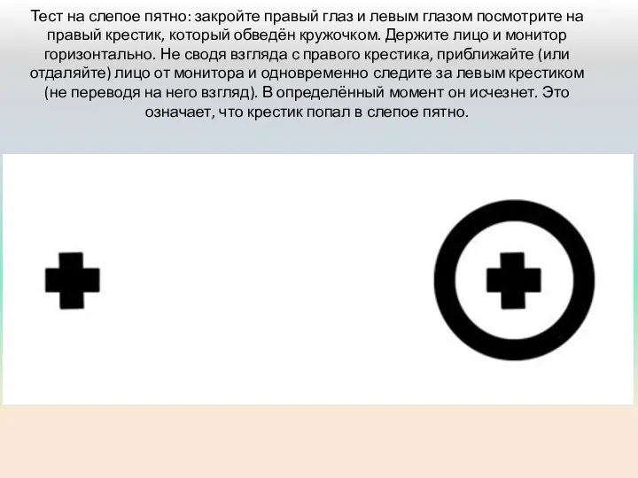 Тест на слепое пятно: закройте правый глаз и левым глазом