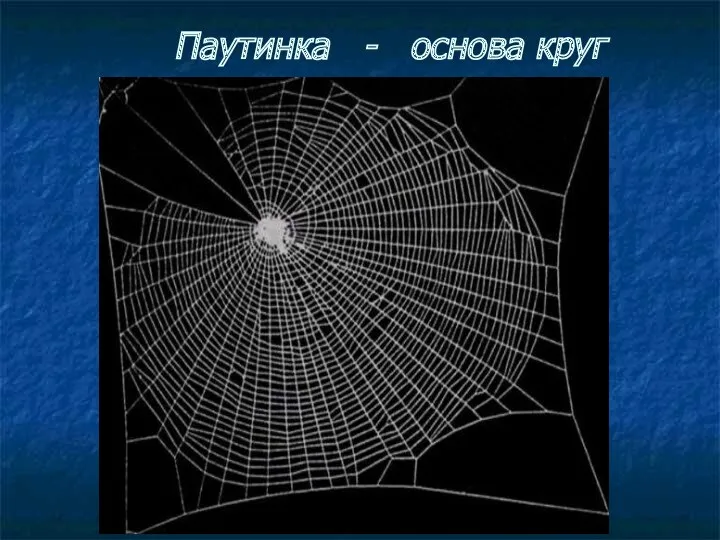 Паутинка - основа круг