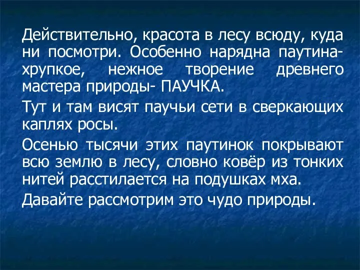 Действительно, красота в лесу всюду, куда ни посмотри. Особенно нарядна