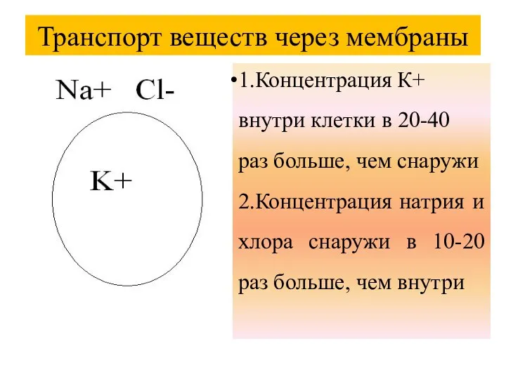 Транспорт веществ через мембраны 1.Концентрация К+ внутри клетки в 20-40