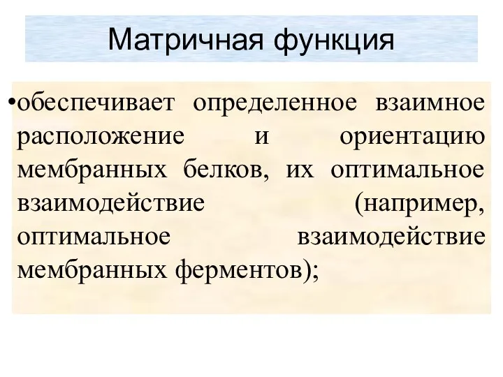 Матричная функция обеспечивает определенное взаимное расположение и ориентацию мембранных белков,