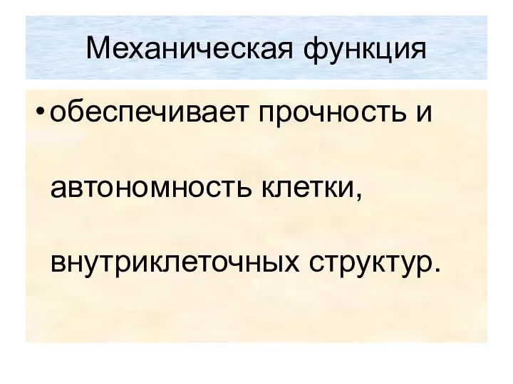 Механическая функция обеспечивает прочность и автономность клетки, внутриклеточных структур.