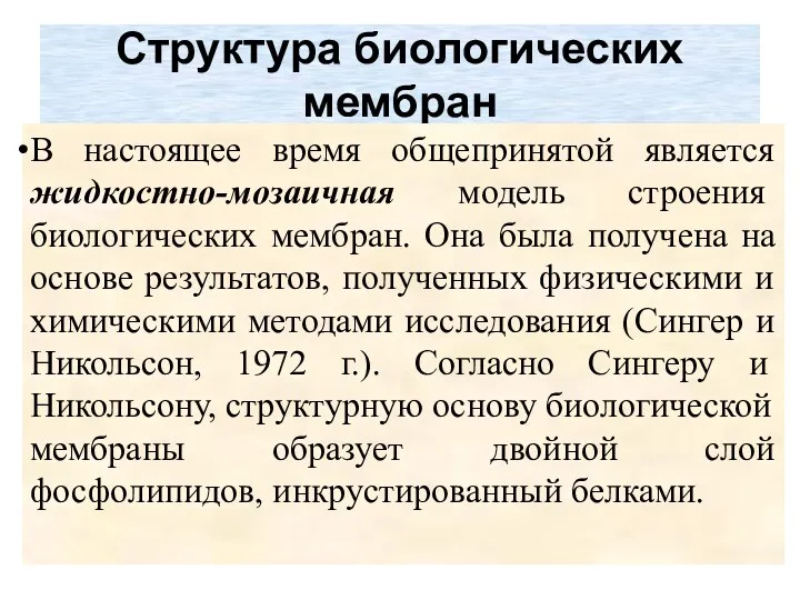 Структура биологических мембран В настоящее время общепринятой является жидкостно-мозаичная модель