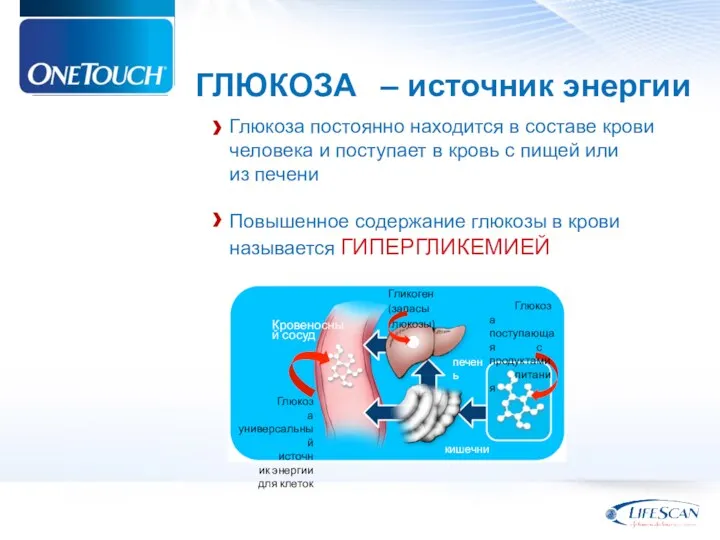 ГЛЮКОЗА – источник энергии Глюкоза постоянно находится в составе крови