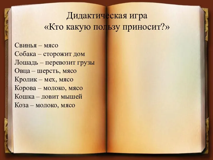 Дидактическая игра «Кто какую пользу приносит?» Свинья – мясо Собака