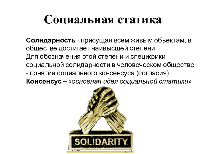Социальная статика Солидарность - присущая всем живым объектам, в обществе