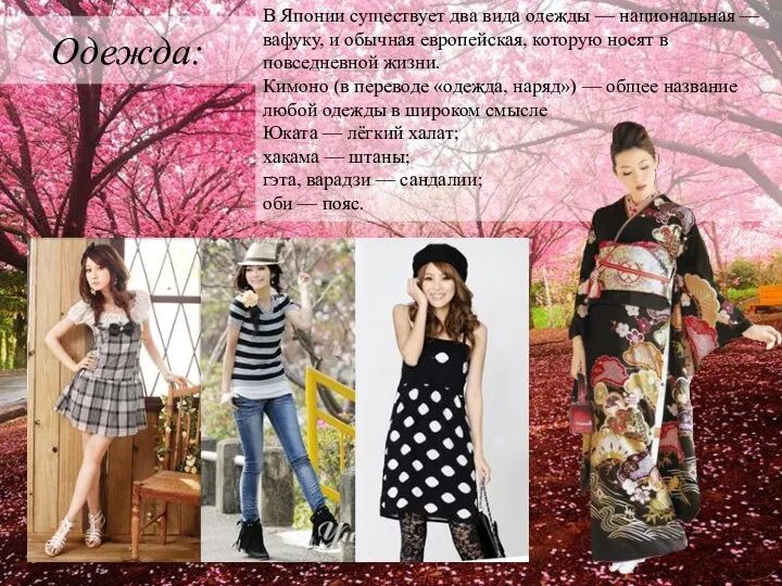Одежда: В Японии существует два вида одежды — национальная —вафуку, и обычная европейская,