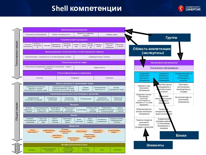 Shell компетенции Группа Блоки Элементы Область компетенции (экспертизы)