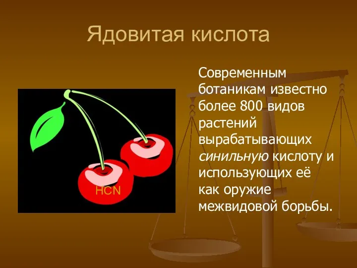 Ядовитая кислота Современным ботаникам известно более 800 видов растений вырабатывающих