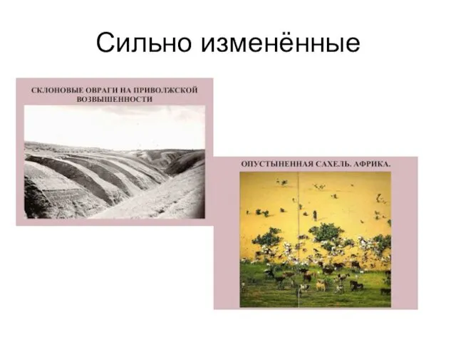 Сильно изменённые