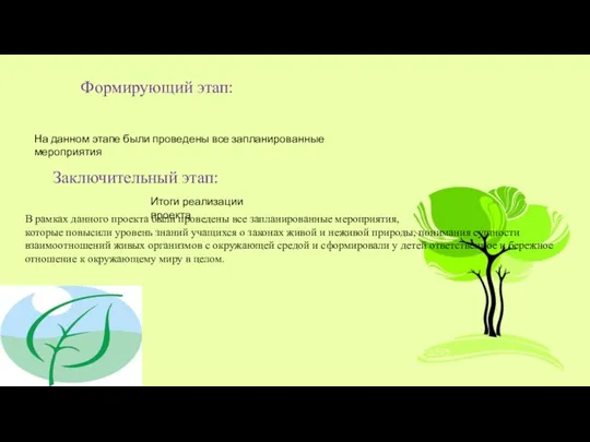 Формирующий этап: На данном этапе были проведены все запланированные мероприятия