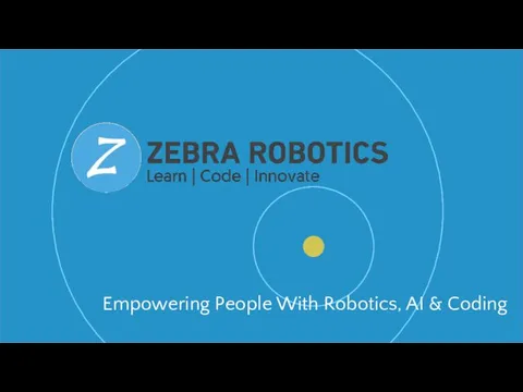 Zebra Robotics