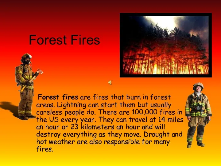 Forest Fires Forest fires are fires that burn in forest