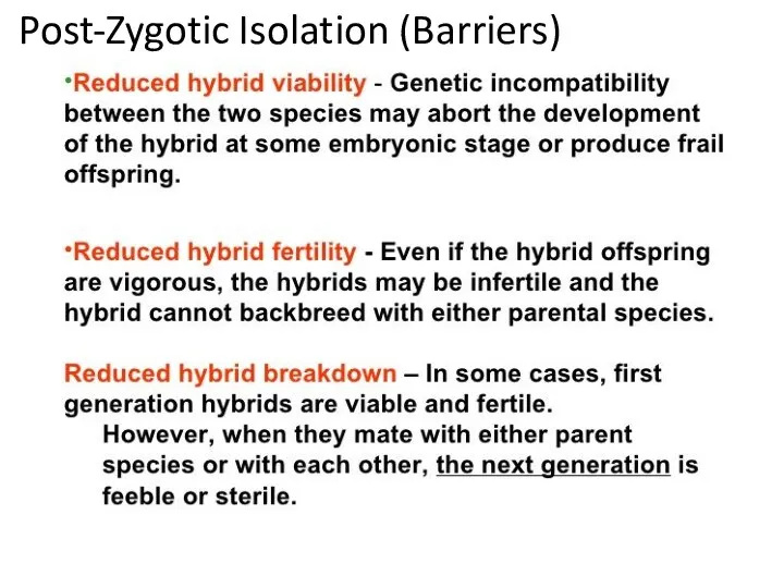 Post-Zygotic Isolation (Barriers)