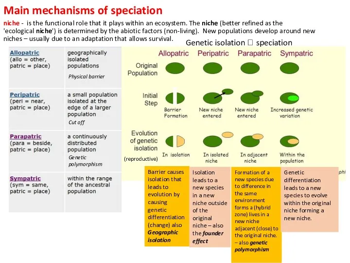 niche - is the functional role that it plays within